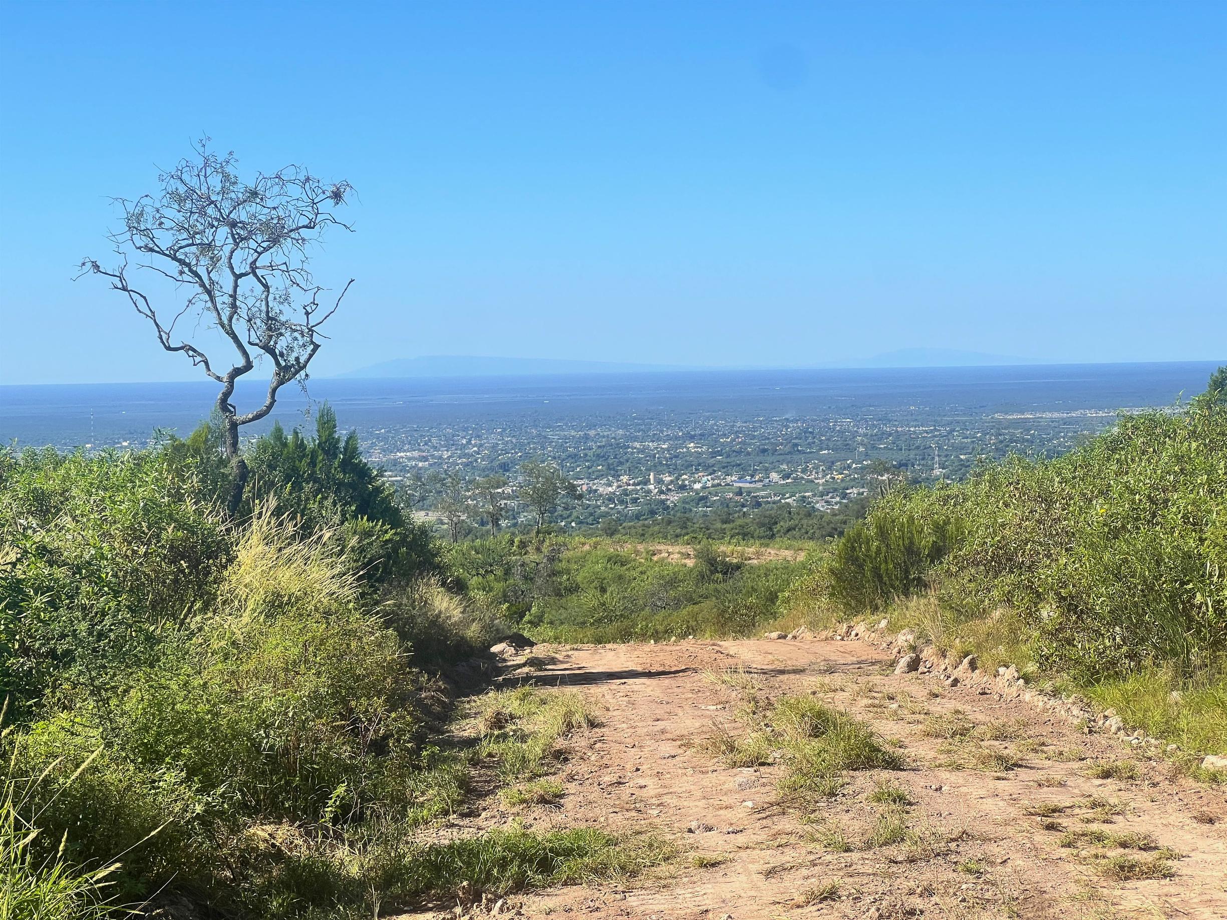 Registro diurno del predio: vegetación, camino y la ciudad en el horizonte.